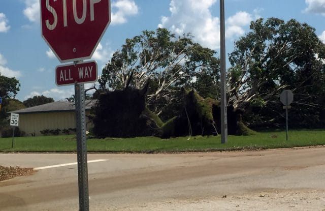 Hurricane Response