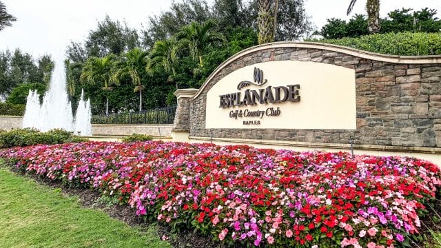 Commercial Landscaping