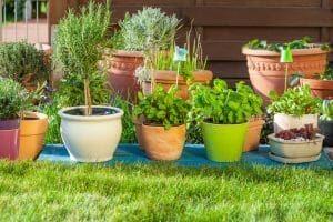 Trendy Landscape Ideas